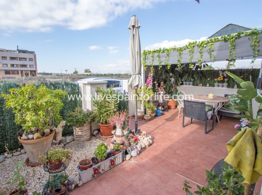  - 2. Town house -
