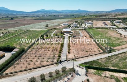 5. Finca / Country Property - Herverkoop - Pinoso -
                    Pinoso
