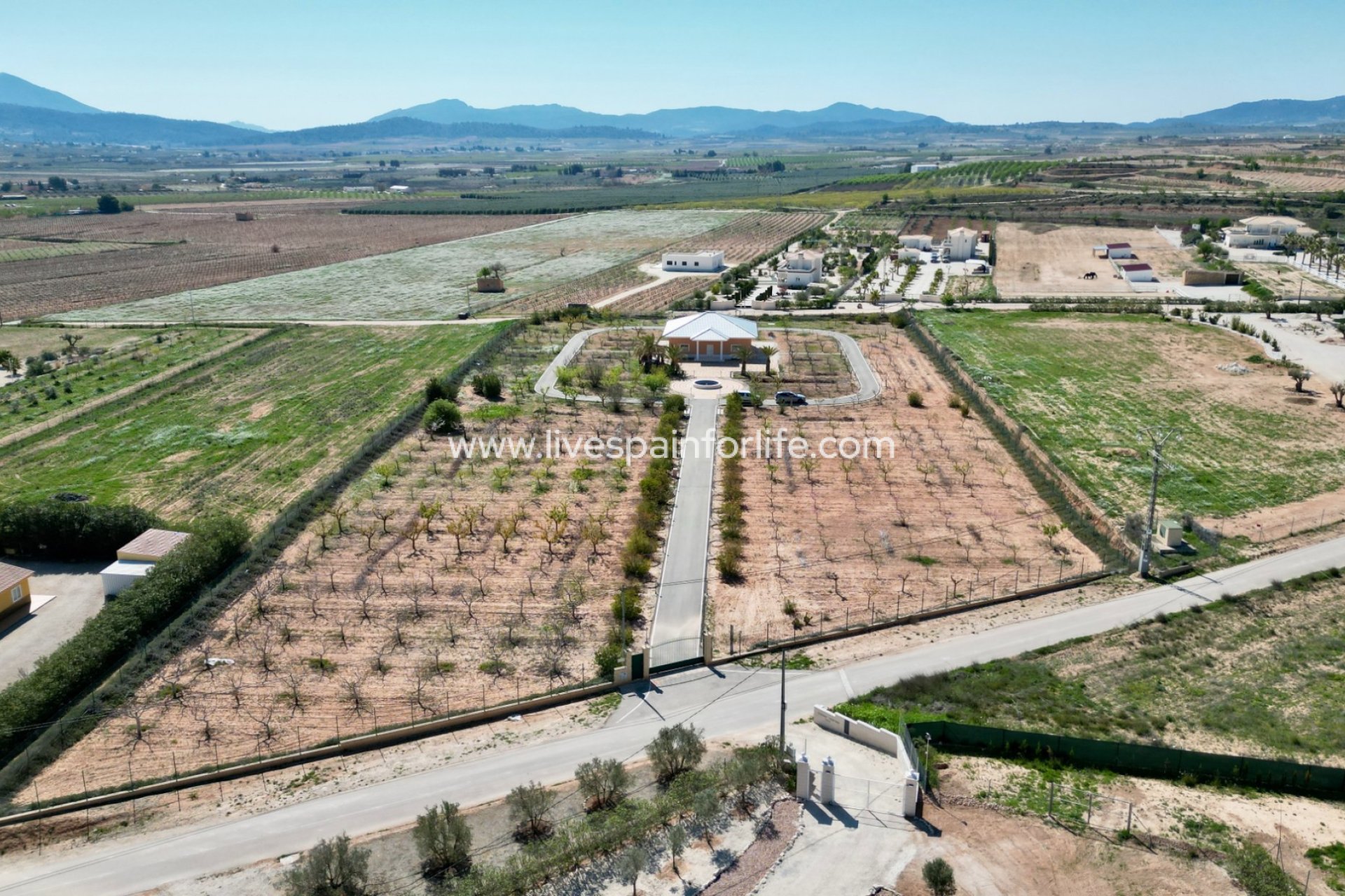  - 5. Finca / Country Property -
