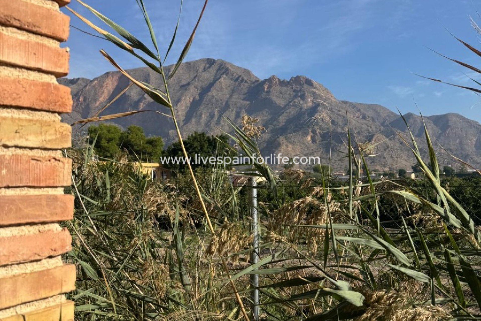  - 5. Finca / Country Property -
