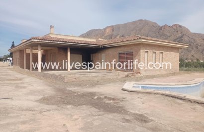 5. Finca / Country Property -  -  -
                    