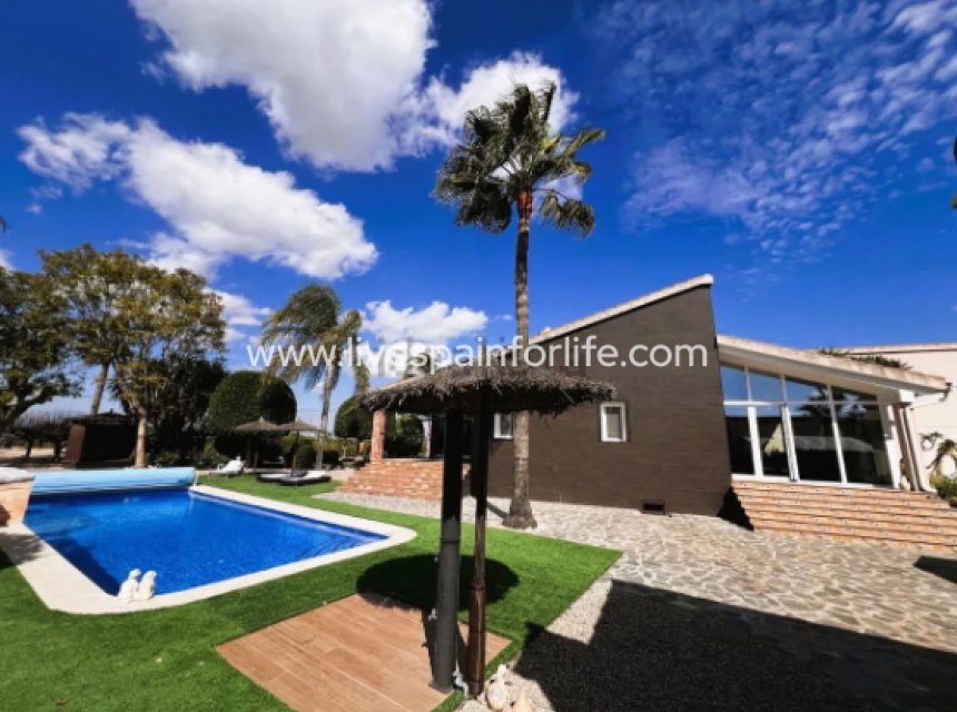  - 5. Finca / Country Property -
