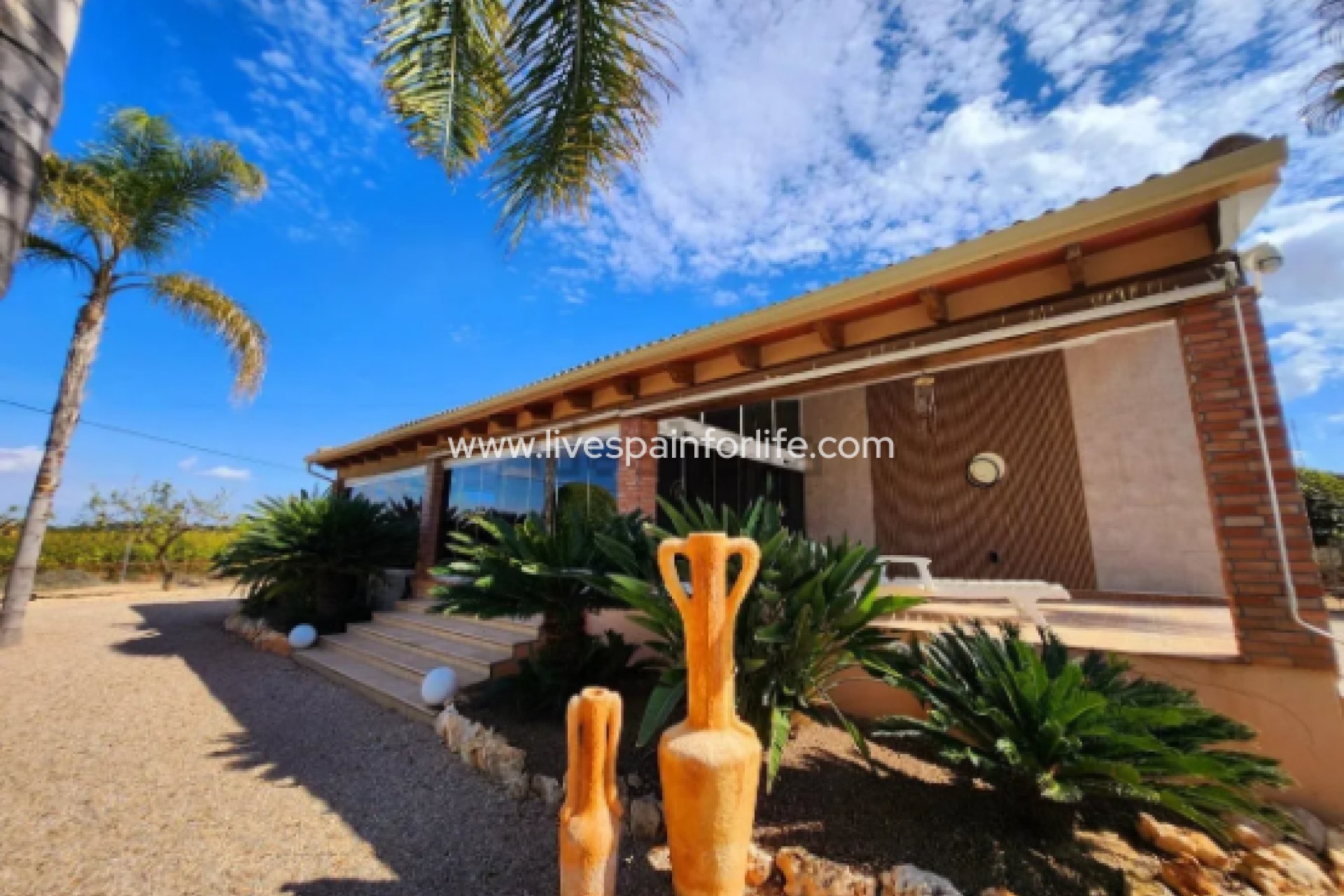  - 5. Finca / Country Property -
