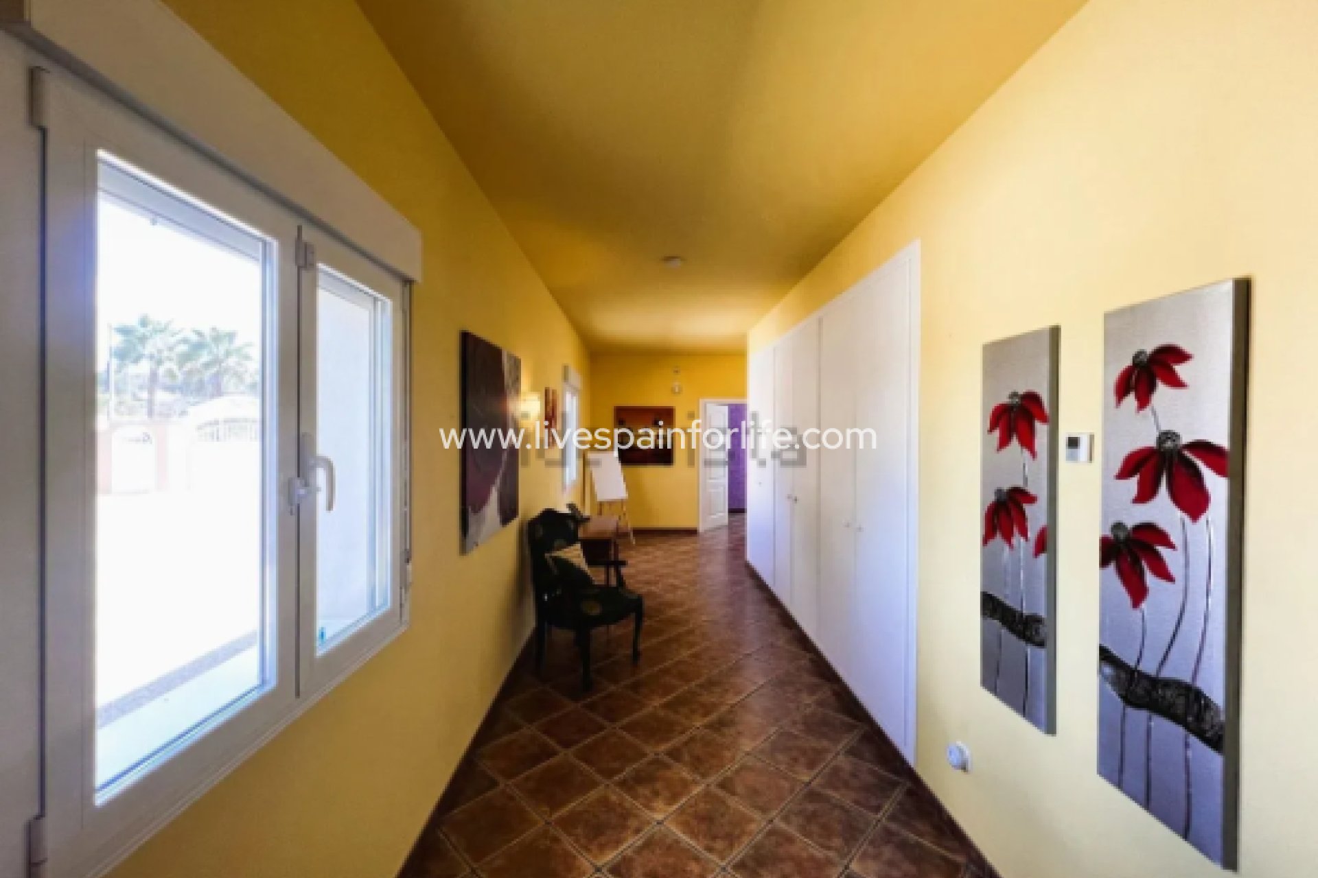  - 5. Finca / Country Property -
