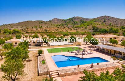 5. Finca / Country Property -  -  -
                    