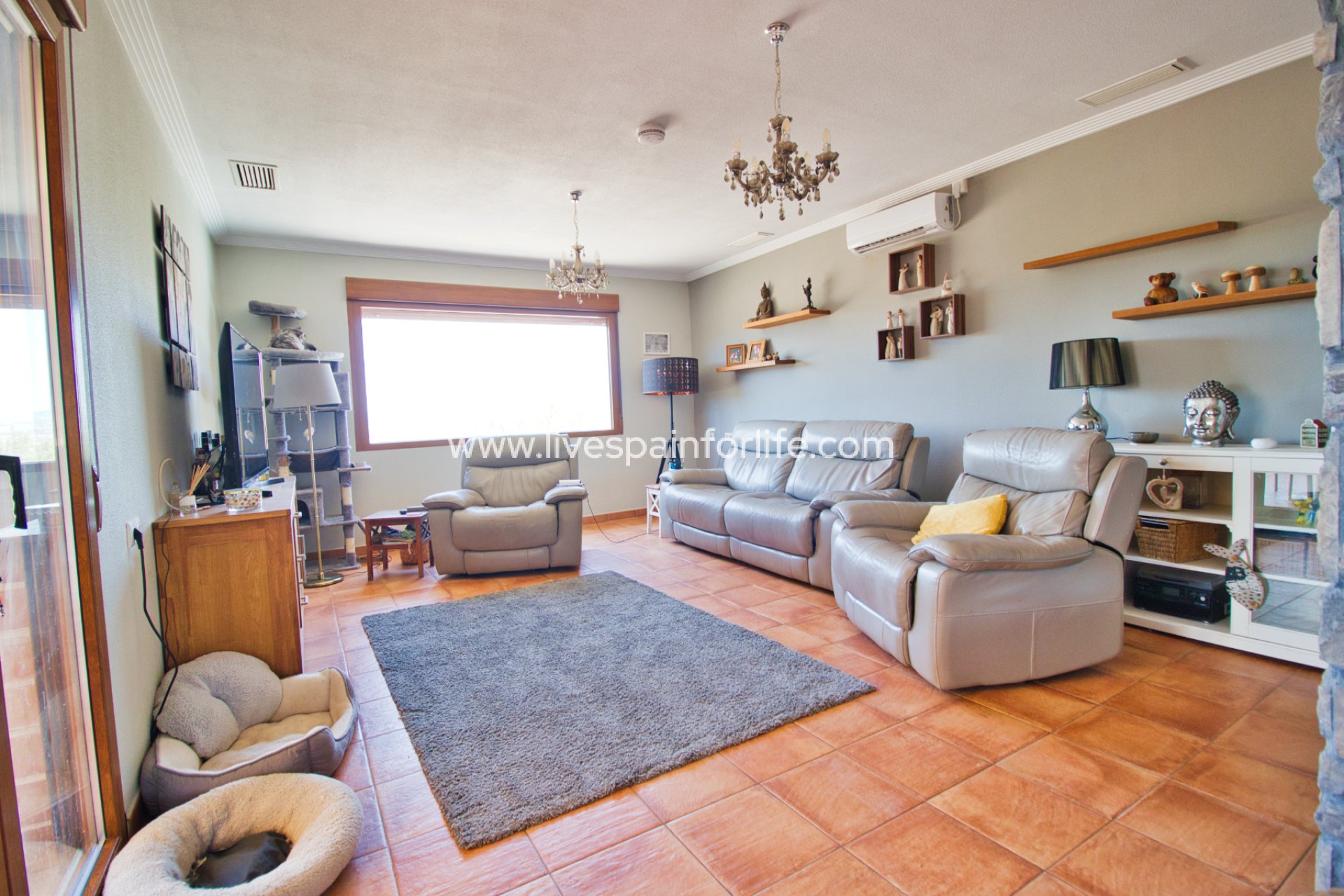  - 5. Finca / Country Property -
