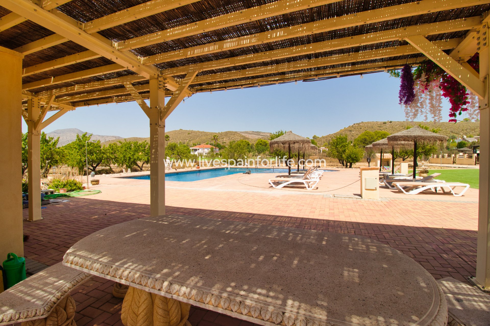  - 5. Finca / Country Property -

