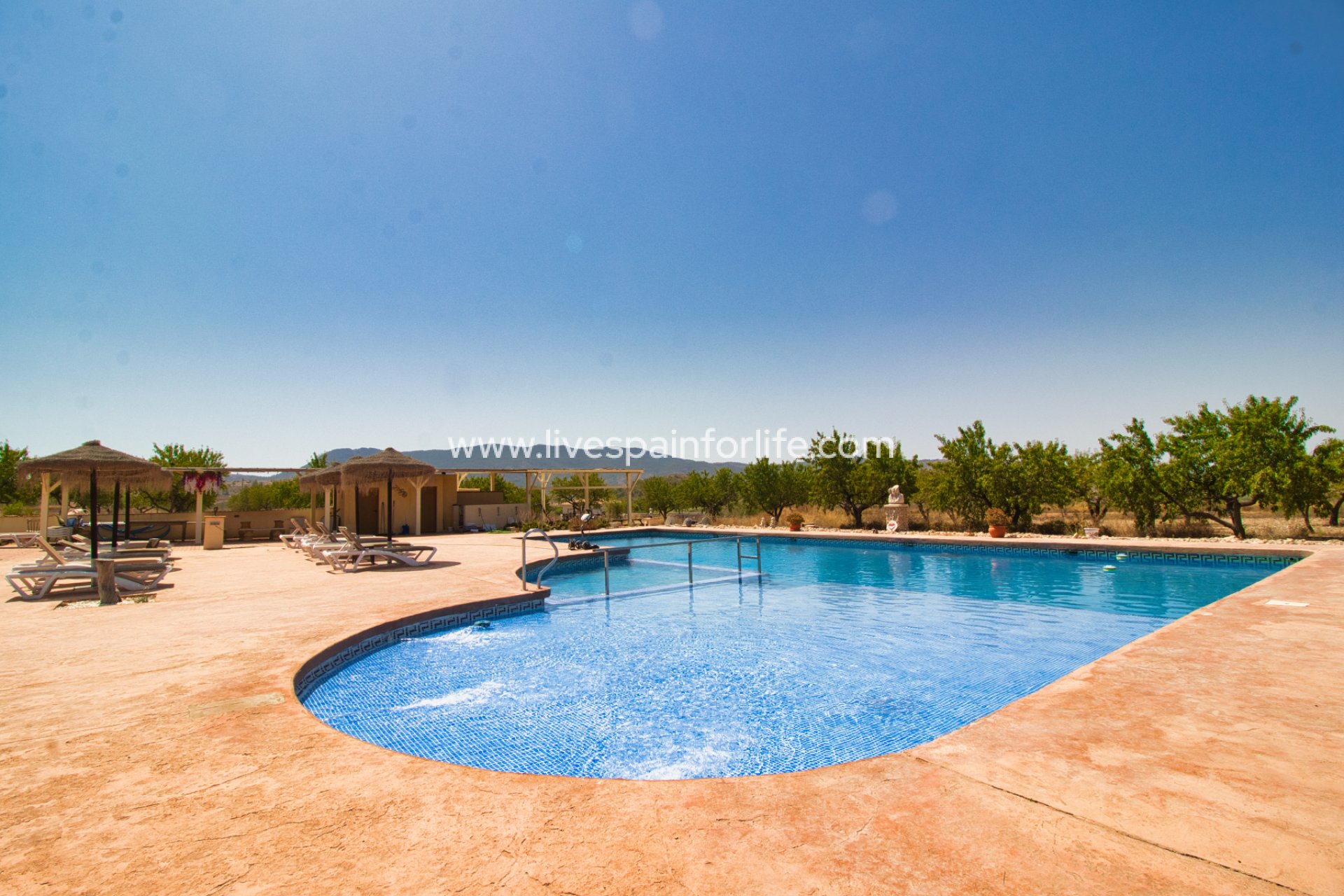  - 5. Finca / Country Property -
