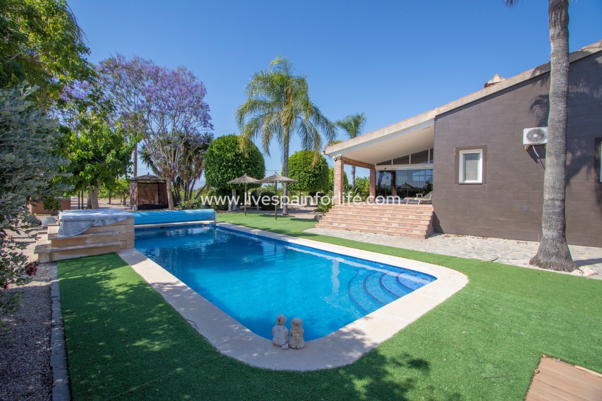  - 5. Finca / Country Property -
