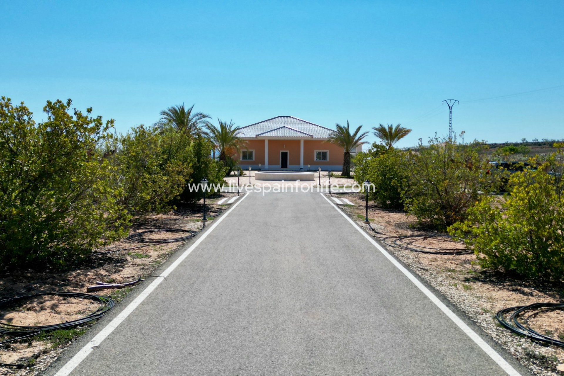  - 5. Finca / Country Property -
