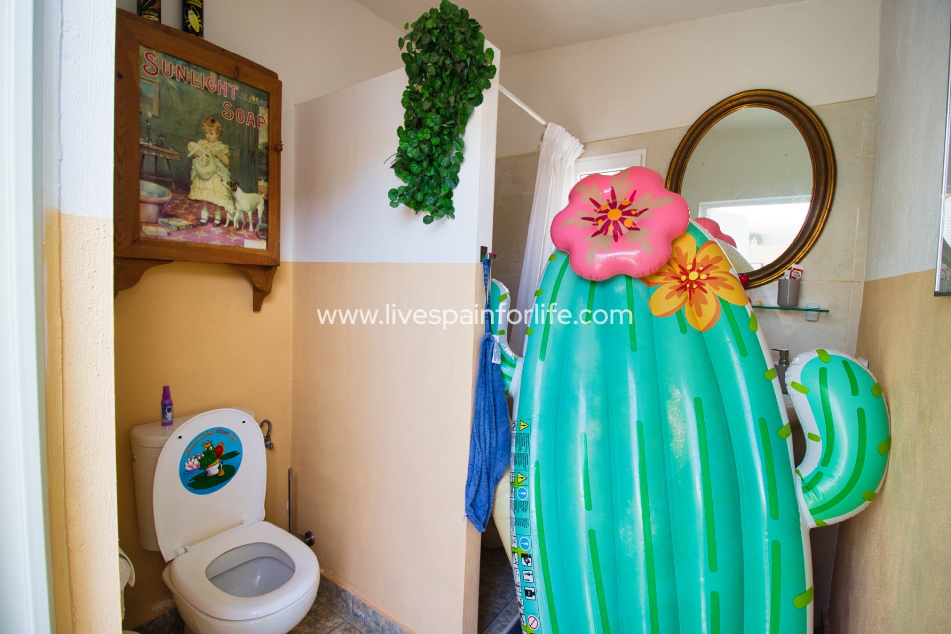  - 5. Finca / Country Property -
