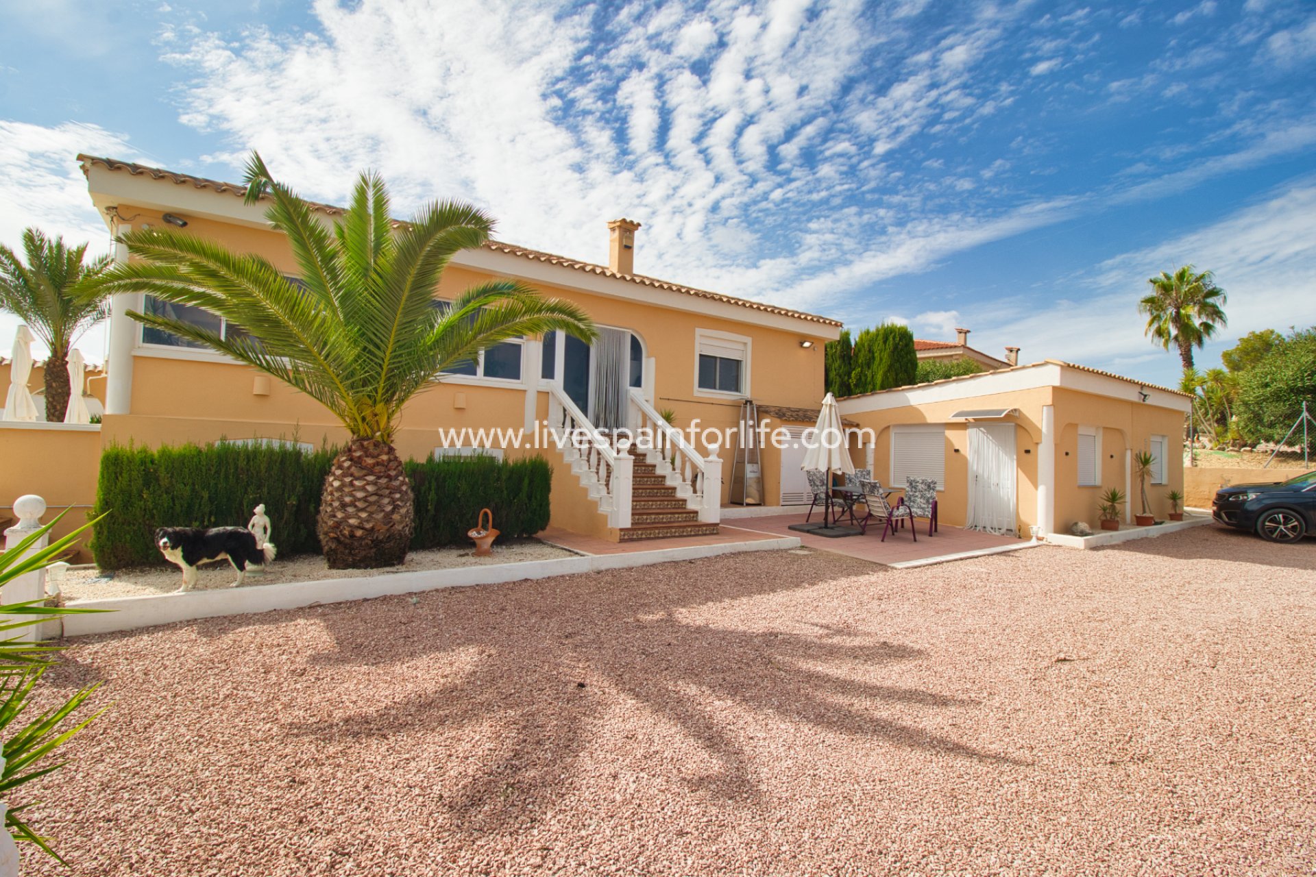  - 5. Finca / Country Property -
