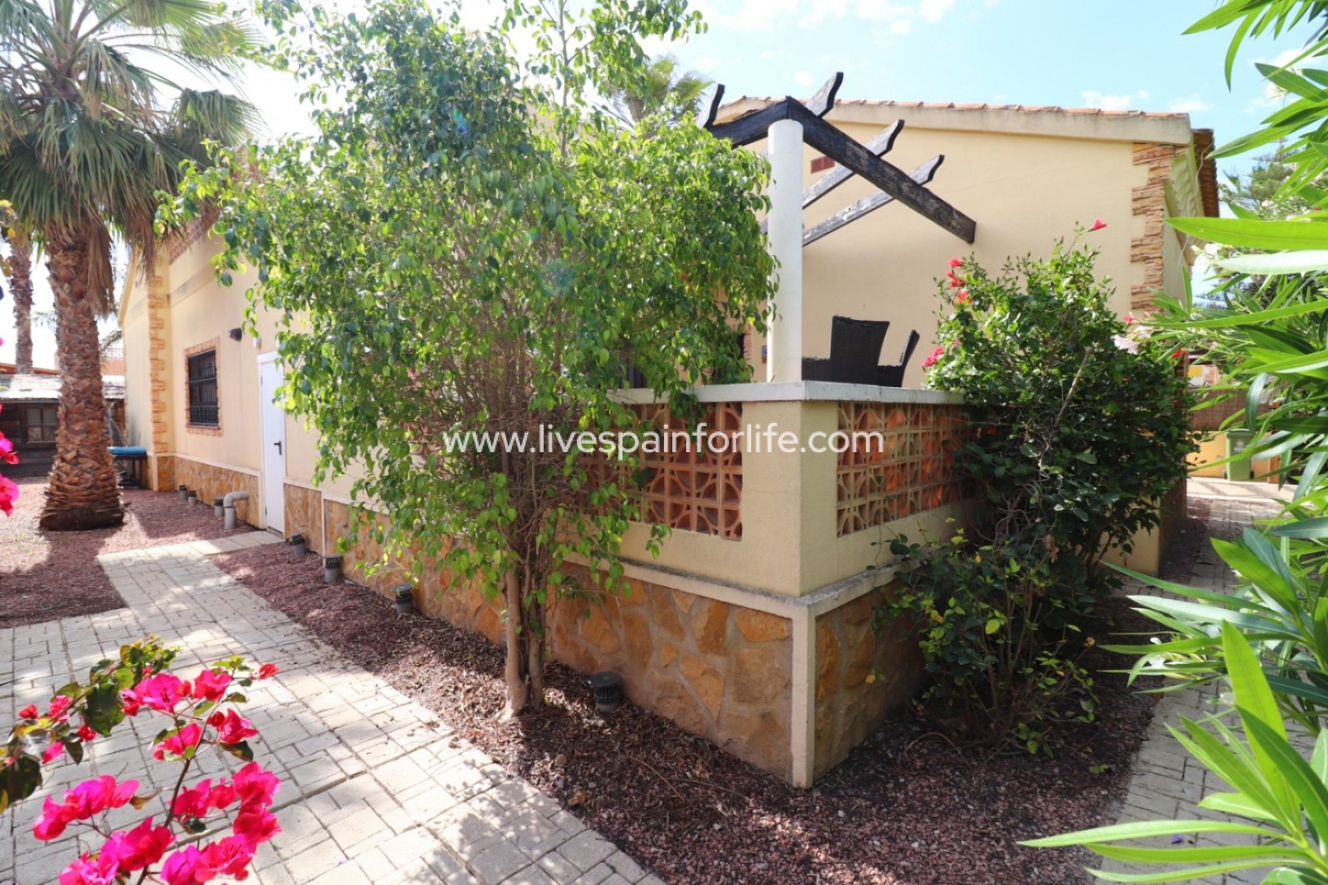  -  -
