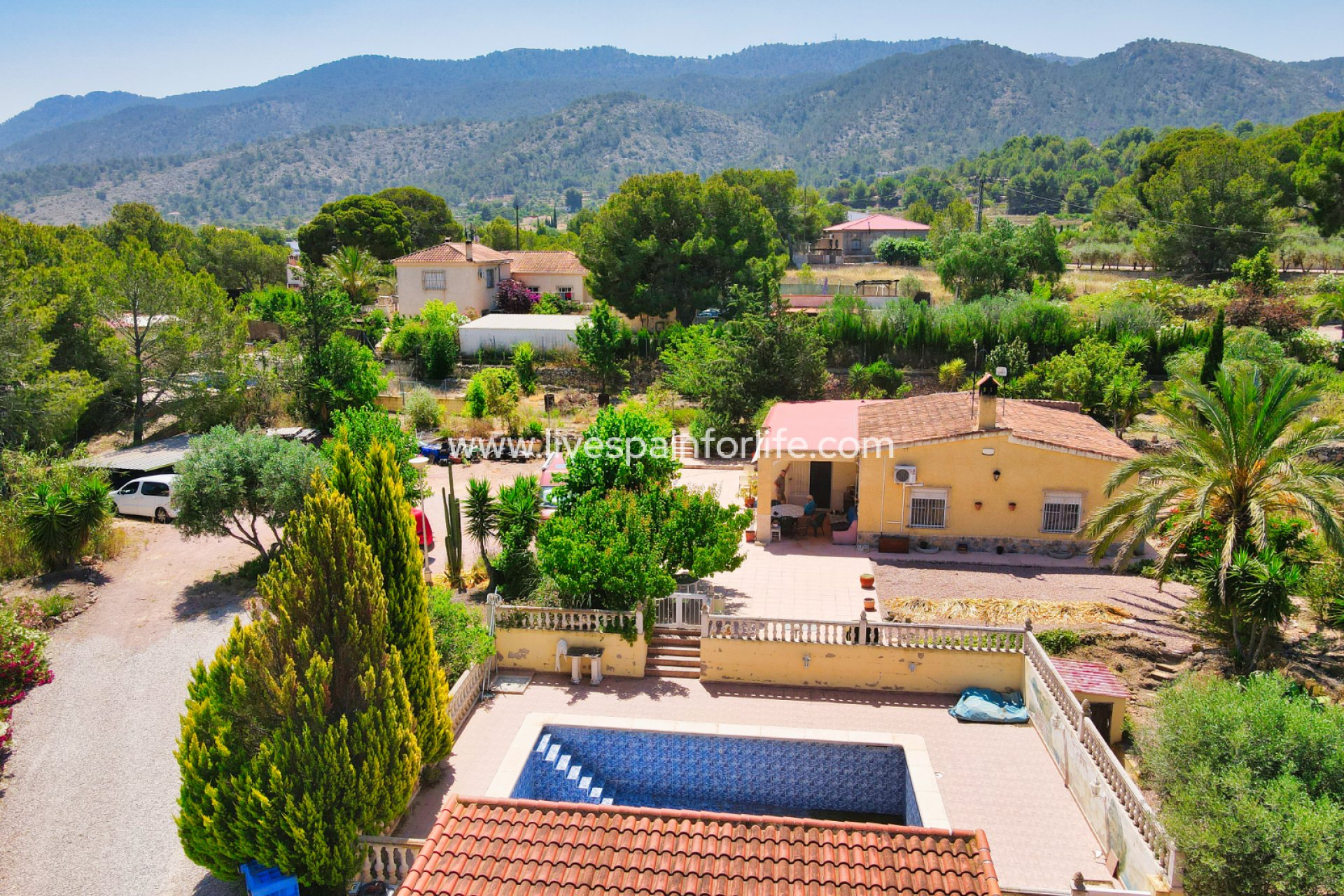  -  -
