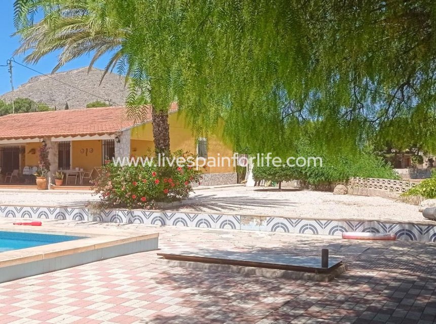  -  -
