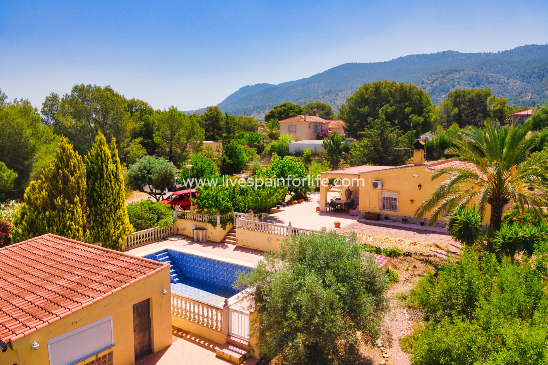  -  -
