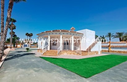  -  -  -
                    