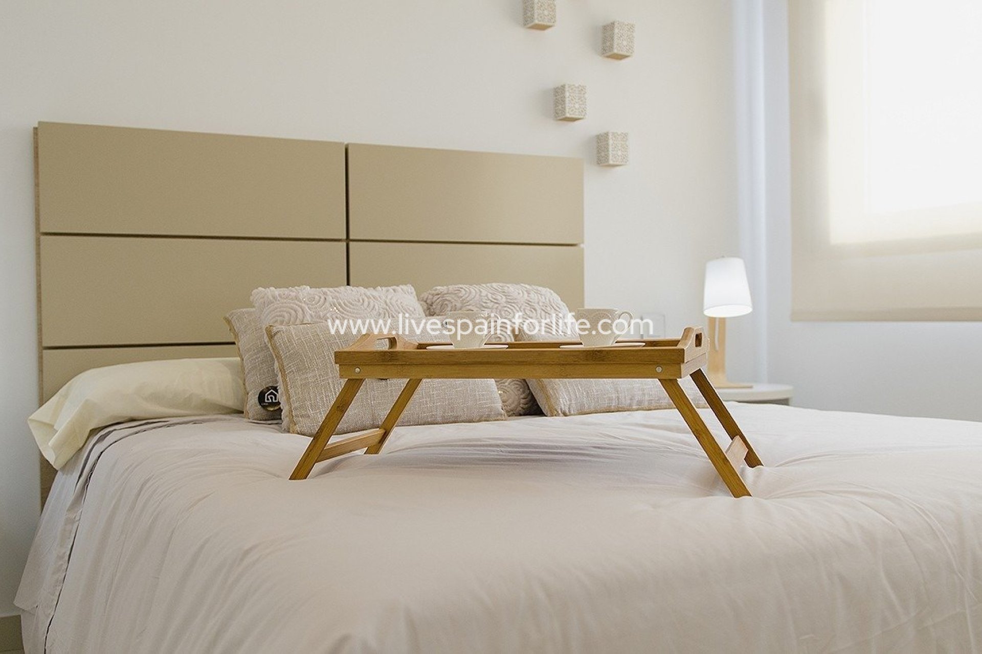  -  -

