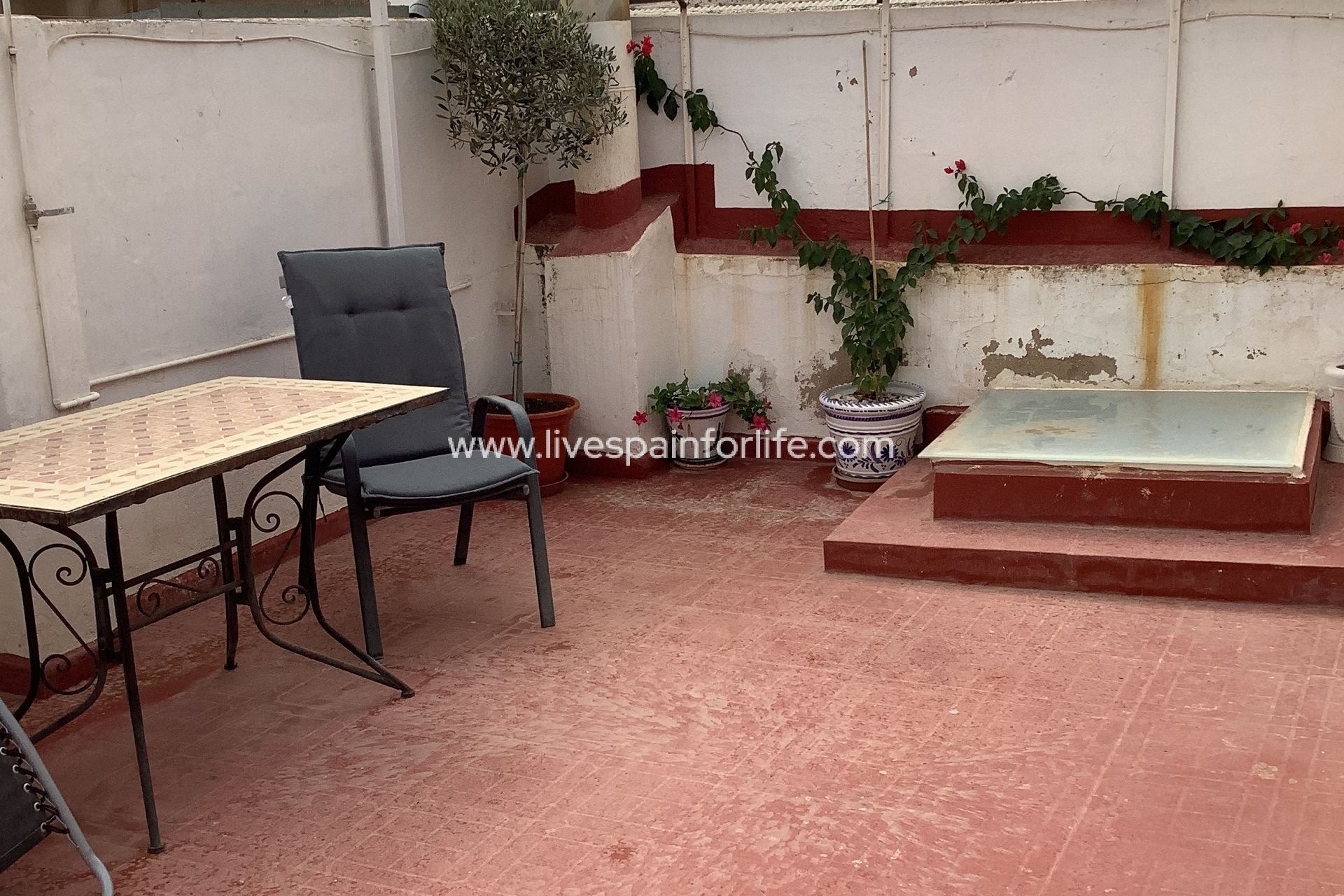  -  -
