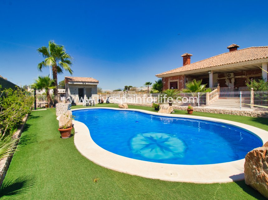  -  -
