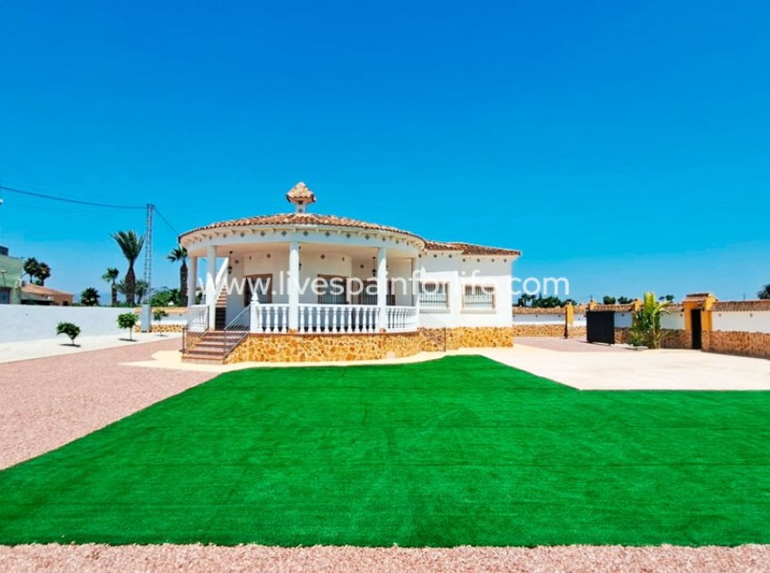  -  -
