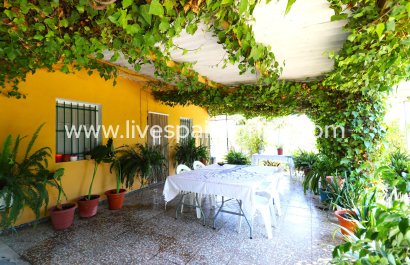  -  -  -
                    Albatera