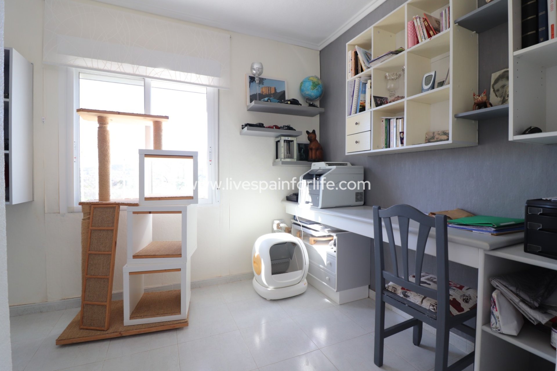  -  -
Algorfa - Lomas de La Juliana