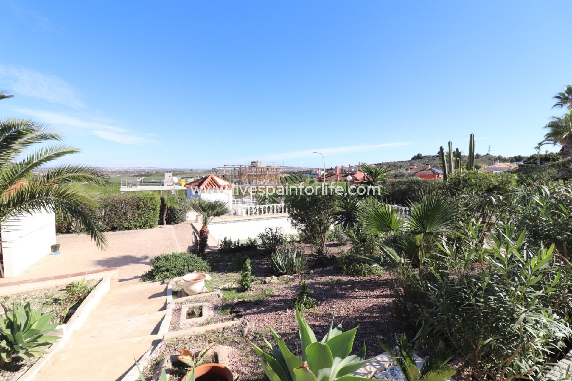  -  -
Algorfa - Lomas de La Juliana