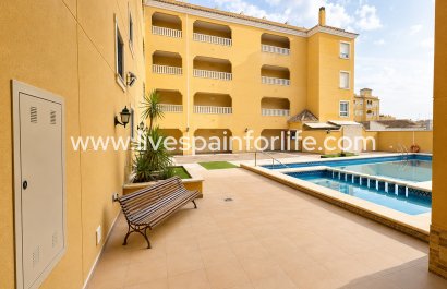 Apartment - Flat -  - Almoradí -
                    Almoradi
