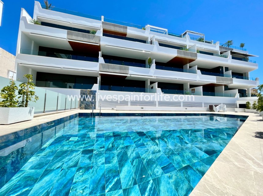 - Apartment - Flat -
