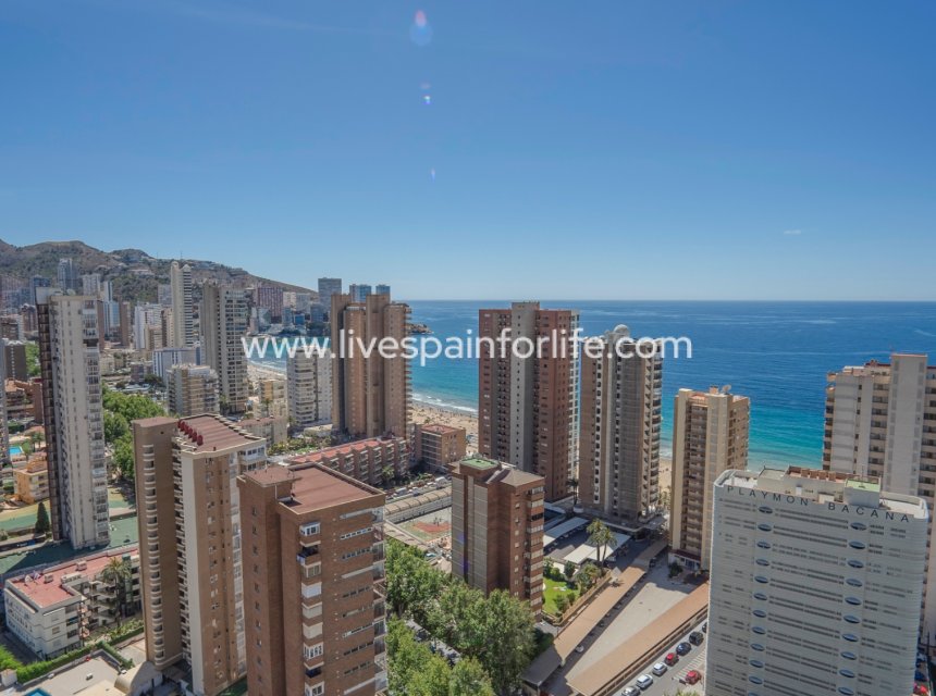  - Apartments -
Benidorm