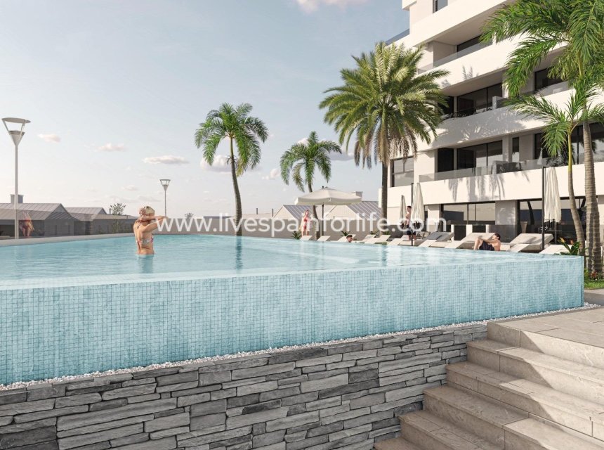  - Apartments -
 - Centro