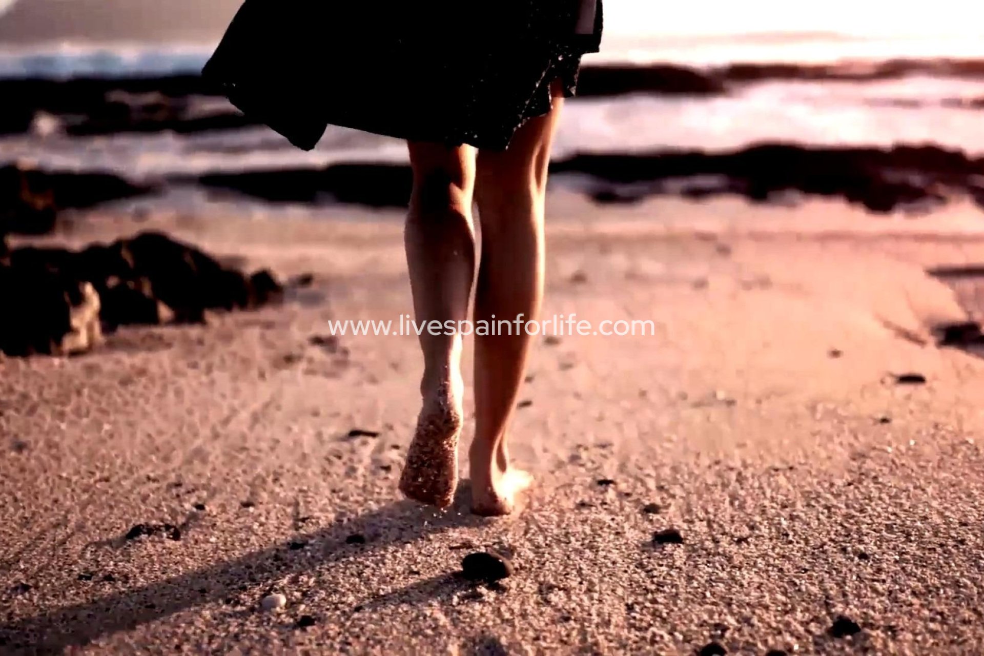  - Apartments -
 - Centro