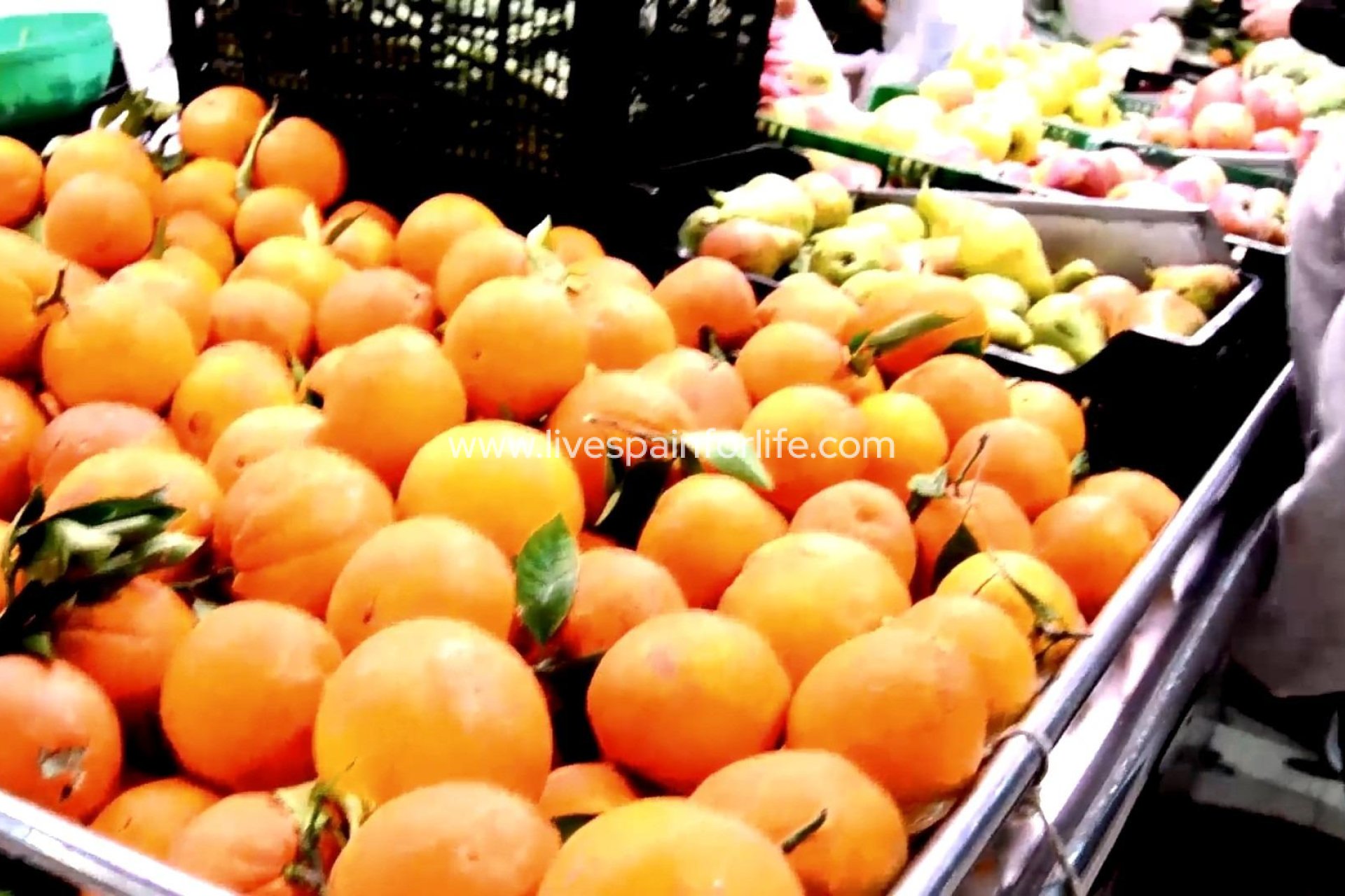  - Apartments -
 - Centro