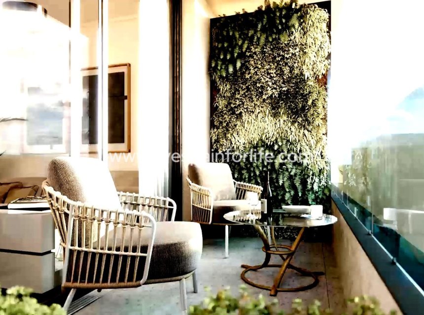  - Apartments -
 - Centro