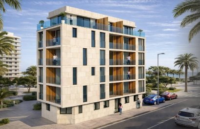 Apartments -  -  -
                    Centro