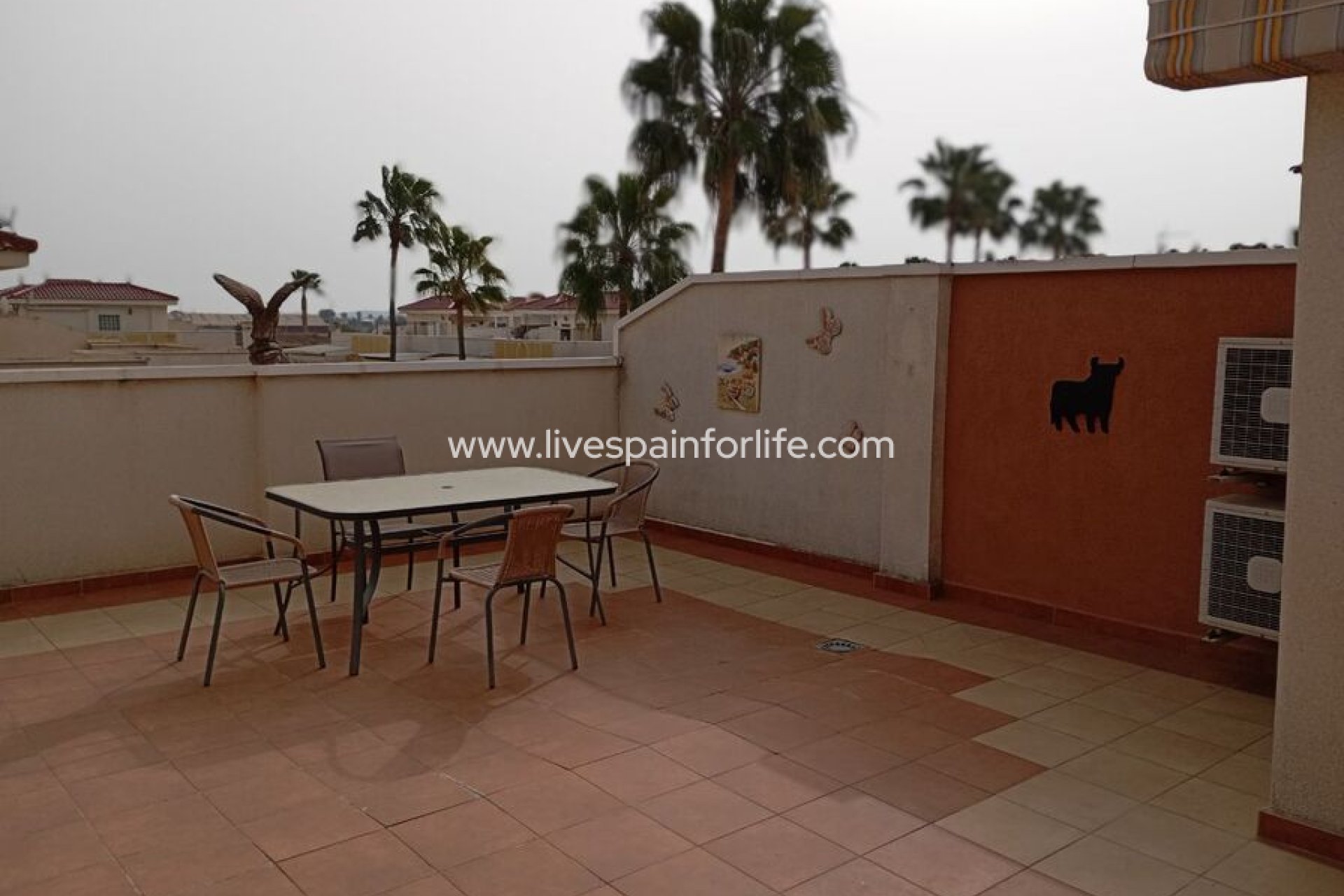  - Apartments -
Daya Vieja - 