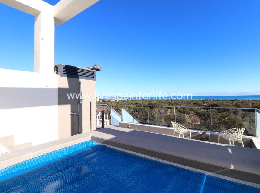  - Apartments -
Guardamar del Segura - Guardamar del Segura - Town