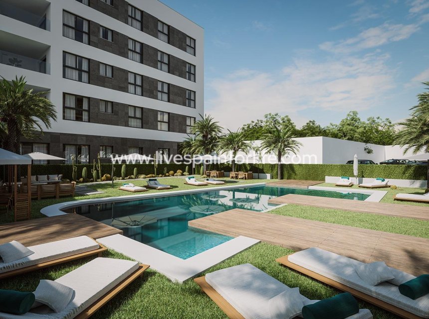  - Apartments -
 - Guardamar Del Segura