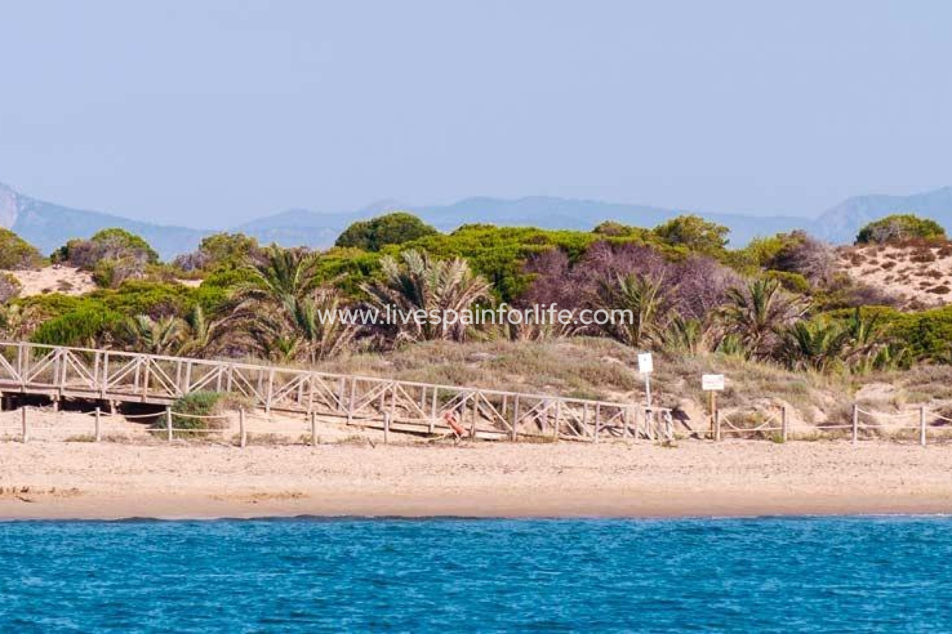  - Apartments -
 - Guardamar