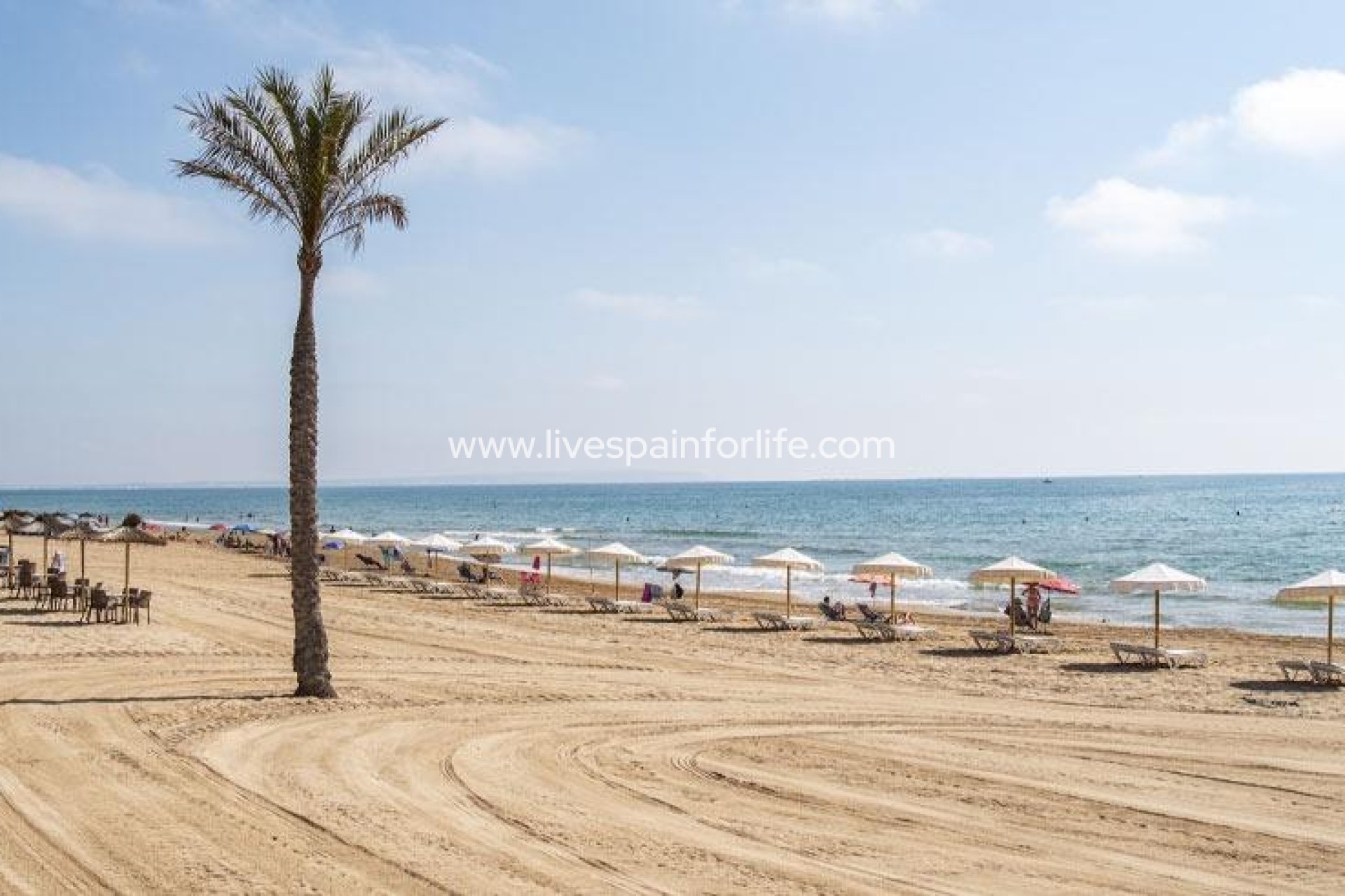  - Apartments -
 - Guardamar