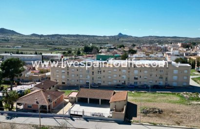 Apartments -  - Hondon De Los Frailes -
                    