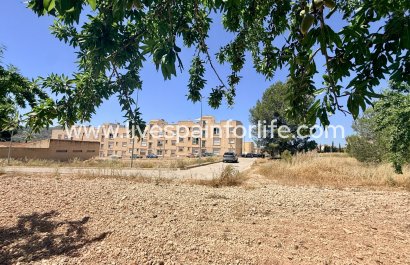 Apartments -  - Hondon De Los Frailes -
                    