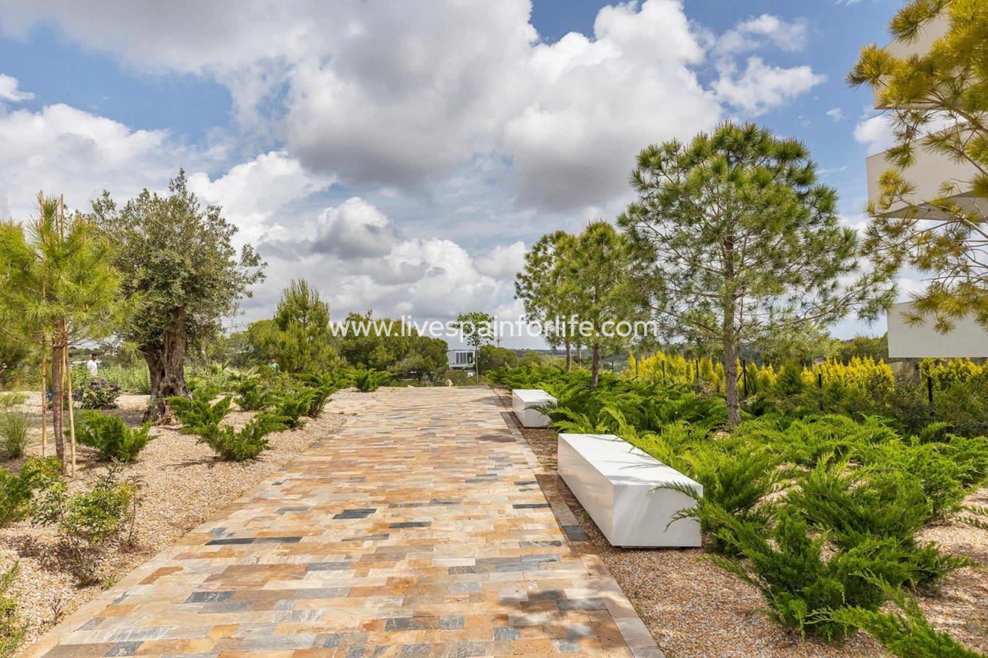  - Apartments -
Las Colinas Golf