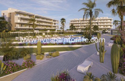 Apartments - Nuevo - Torrevieja - Elche