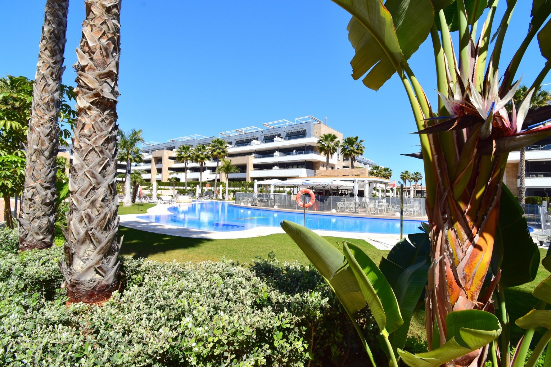  - Apartments -
Orihuela Costa - Playa Flamenca