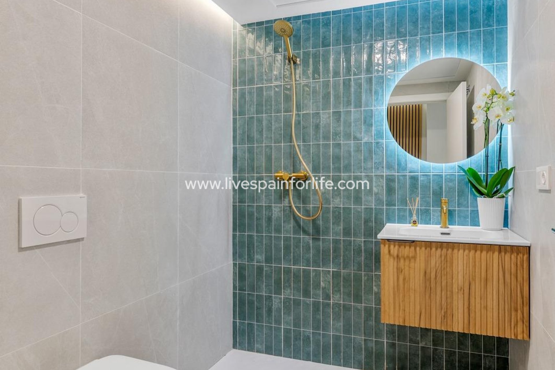  - Apartments -
 - Pueblo