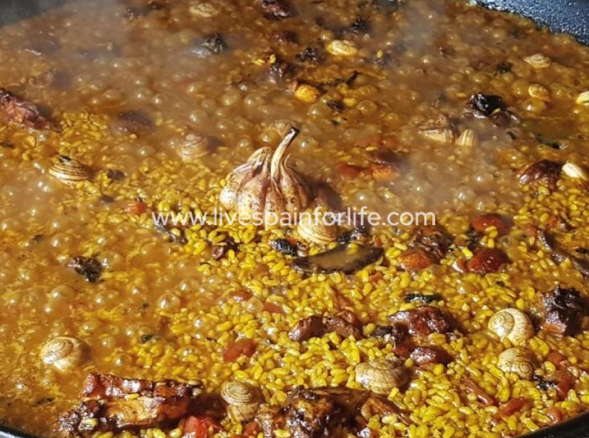  - Apartments -
 - Pueblo