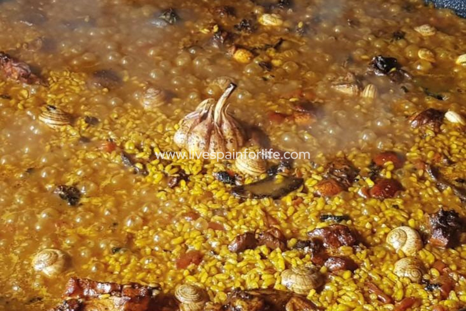  - Apartments -
 - Pueblo