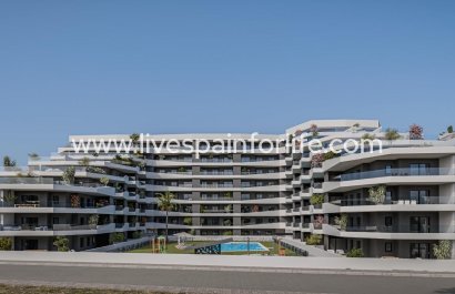 Apartments -  -  -
                    Pueblo